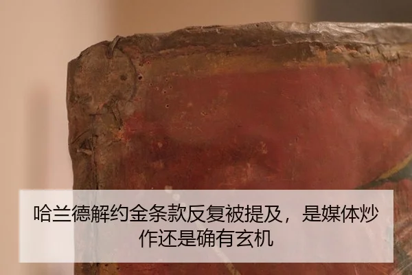 ha-lan-de-jie-yue-jin-tiao-kuan-fan-fu-bei-ti-ji-shi-mei-ti-chao-zuo-hai-shi-que-you-xuan-ji-2-125.jpg